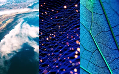 The Evolution of Accountability: A Comprehensive Guide to the 2026-2027 Sustainability Standards Landscape